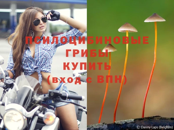 Альфа ПВП Нягань