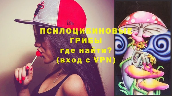 гашик Алексеевка