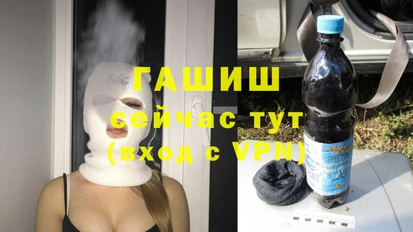 гашик Алексеевка