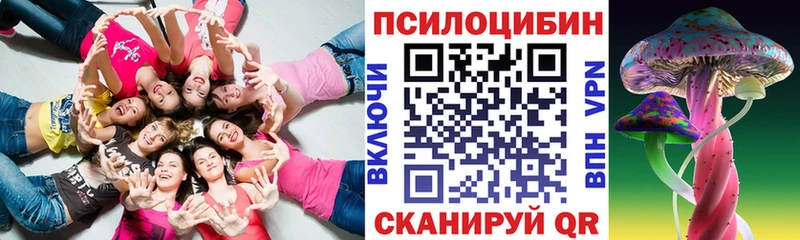 Галлюциногенные грибы Psilocybe  Чёрмоз 